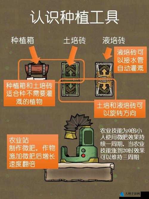 缺氧环境下辣椒种植技巧与图解指南